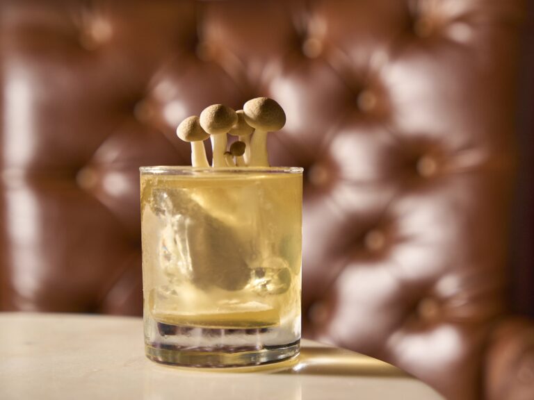 Pairing South Africa’s Finest Gins With Mushrooms