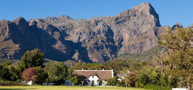 The History Of Anthonij Rupert Wines