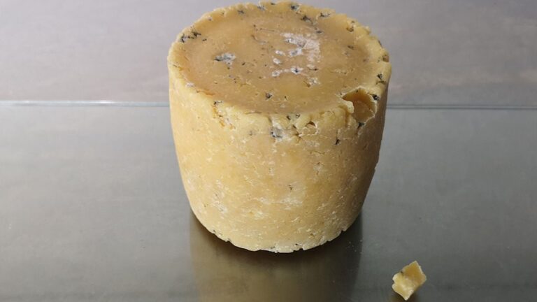 This ‘Human Cheese’ Is Made From Celebrity Skin Bacteria
