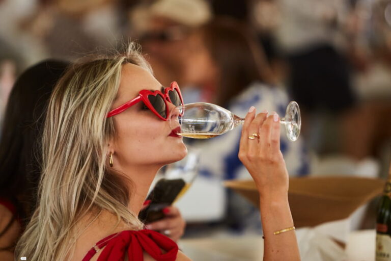 Franschhoek Cap Classique & Champagne Festival   2026